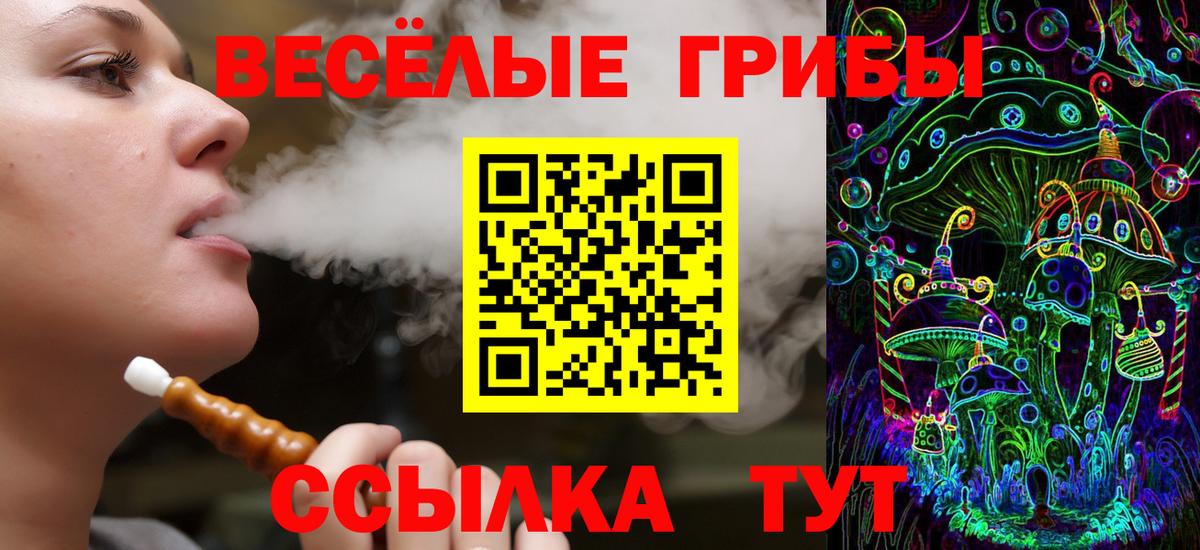 Галлюциногенные грибы мицелий Выкса